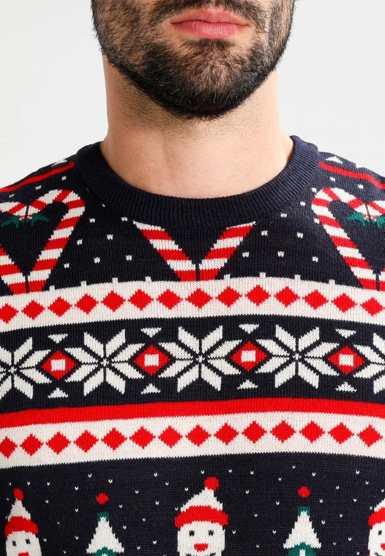 Marchandise de première qualité Pier One Pullover pulls et gilets col rond homme 6 Marchandise de première qualité Pier One Pullover pulls et gilets col rond homme – Image 4